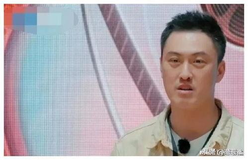 吃瓜娱乐圈有新瓜吃了,揭秘明星幕后故事  第3张