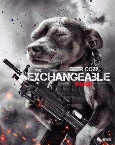 娱乐吃瓜汪星人是谁啊,网络红星的崛起之路  第2张